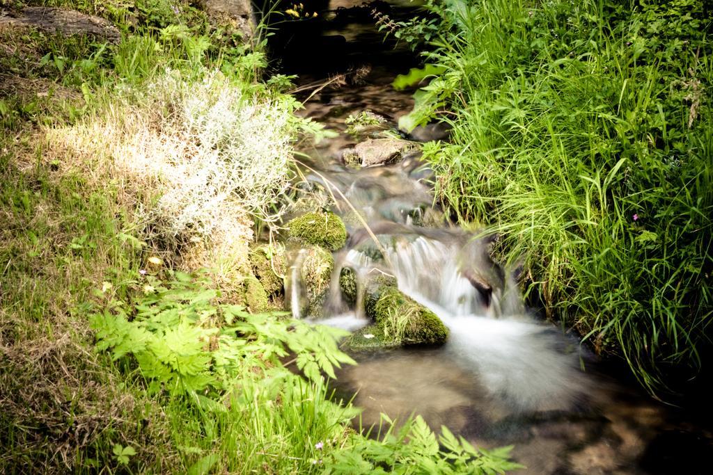 Auberge Du Moulin De Lere Vailly Luaran gambar